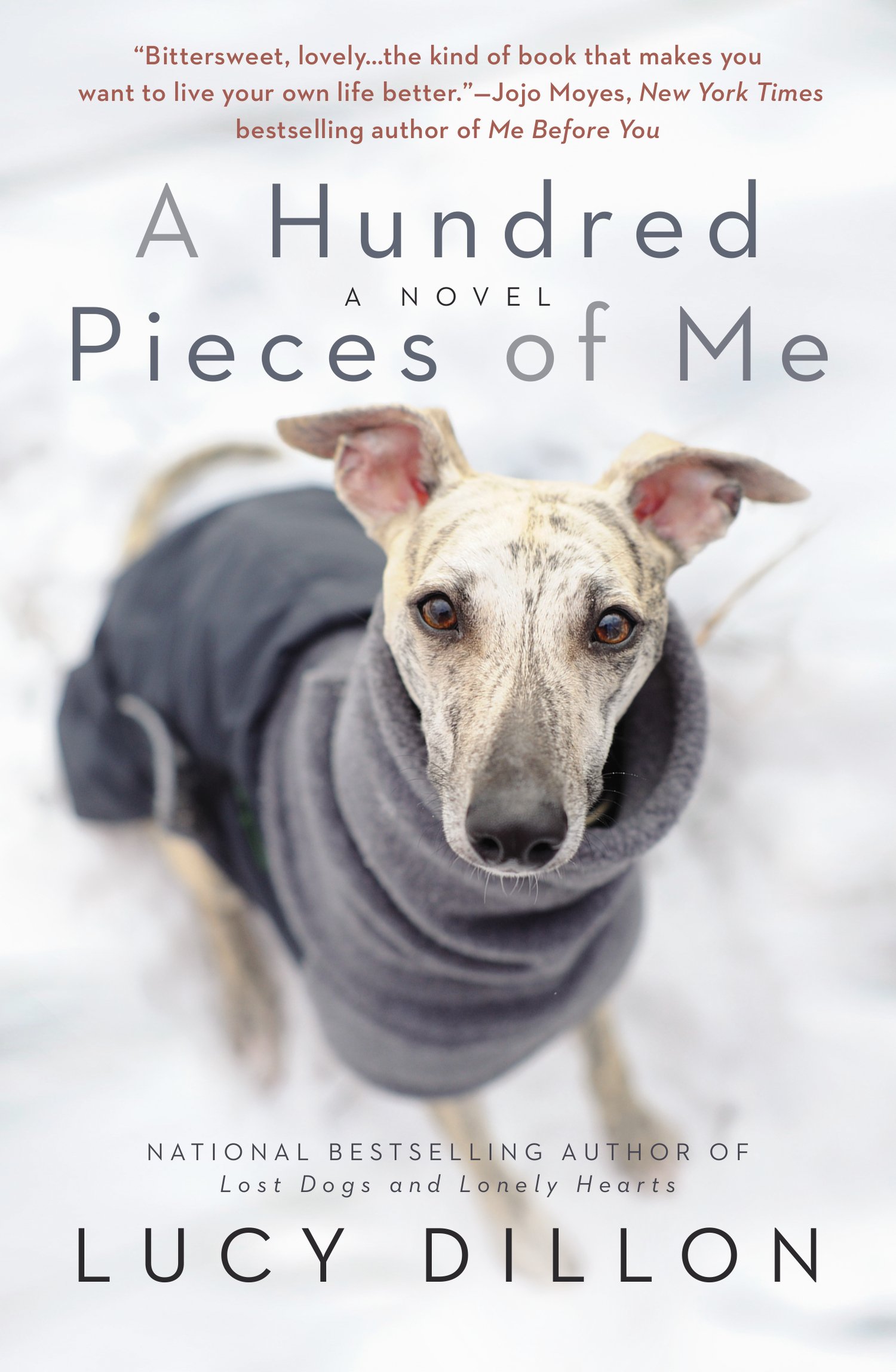 A Hundred Pieces Of Me by Lucy Dillon