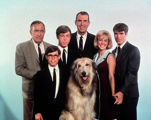 My Three Sons, My Three Sons is an American situation comedy. The series ran from 1960-1972 and was a huge hit