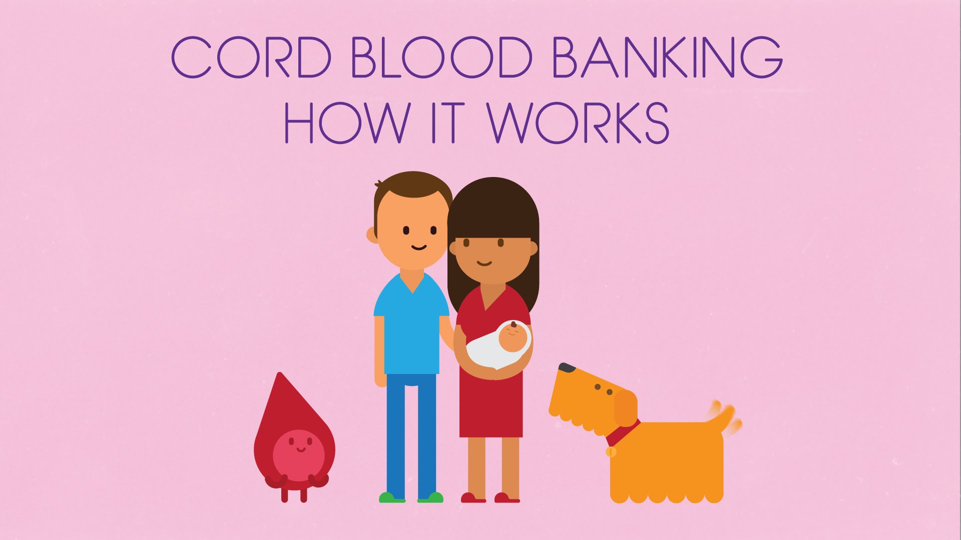 Cord Blood Banking, $1450-2750  @CBR.com (click image for a year of free storage!!)