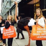 PETA Checkmates Prada By Becoming A Shareholder In The Company