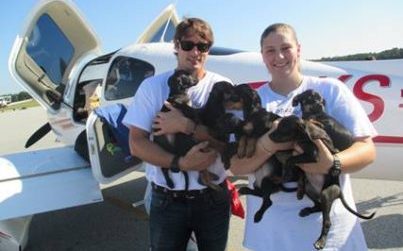 Clear The Shelters Day: "Bachelor" Prince Lorenzo Borghese Flies 330 Animals To Safety