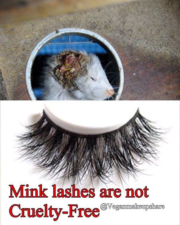 Mink Lashes Are Not Cruelty-Free!
