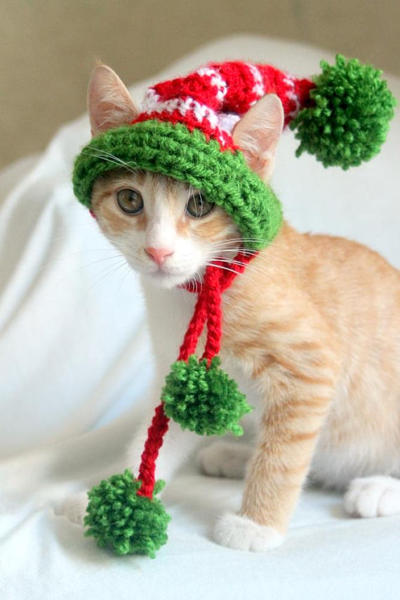 Elf Cat Hat (In Vegan Yarns), $11 @etsy.com