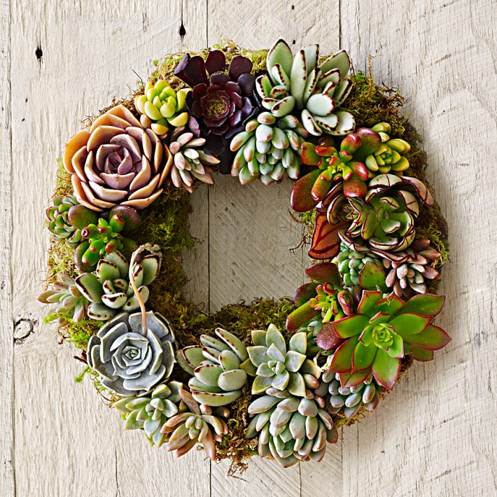 Mixed Succulent Wreath, $109 @williams-sonoma.com