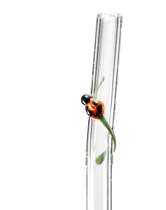Glass Drinking Straws - Ladybug, $14 @etsy.com