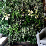 Green Home Upgrade: Living Wall Covers