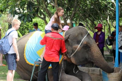 Foreign Tourists Fuelling Animal Cruelty In Vietnam’s Tourism Industry  
