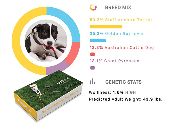 Embark Dog DNA Test, $199 @embark.com (now $40 off!)