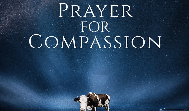 A Prayer for Compassion: A New Film Looks at Animals, Food, and Faith