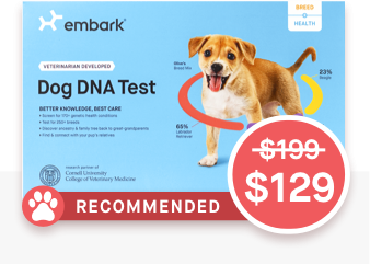 Embark Dog DNA Test, $129 (minus $25 if you use our link!) @embarkvet.com