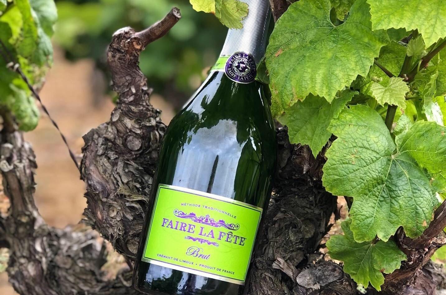 Our Favorite New Eco-Friendly Bubbly