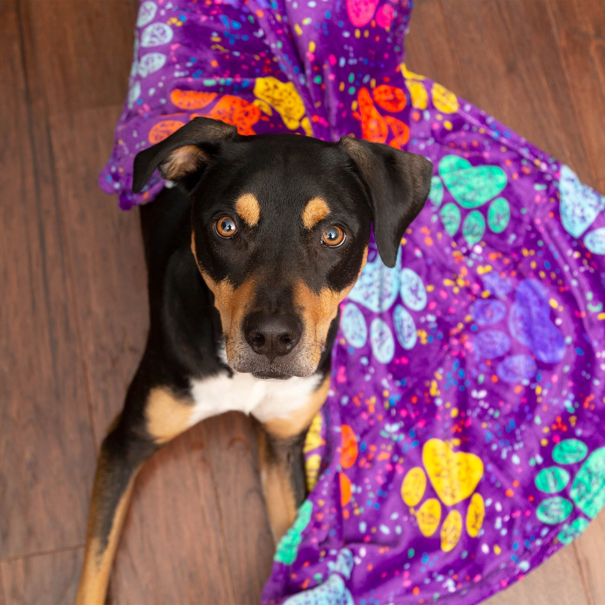 Snuggle Paws Fleece Pet Blanket Snuggle Fleece, $4.95 @theanimalrescuesite.com
